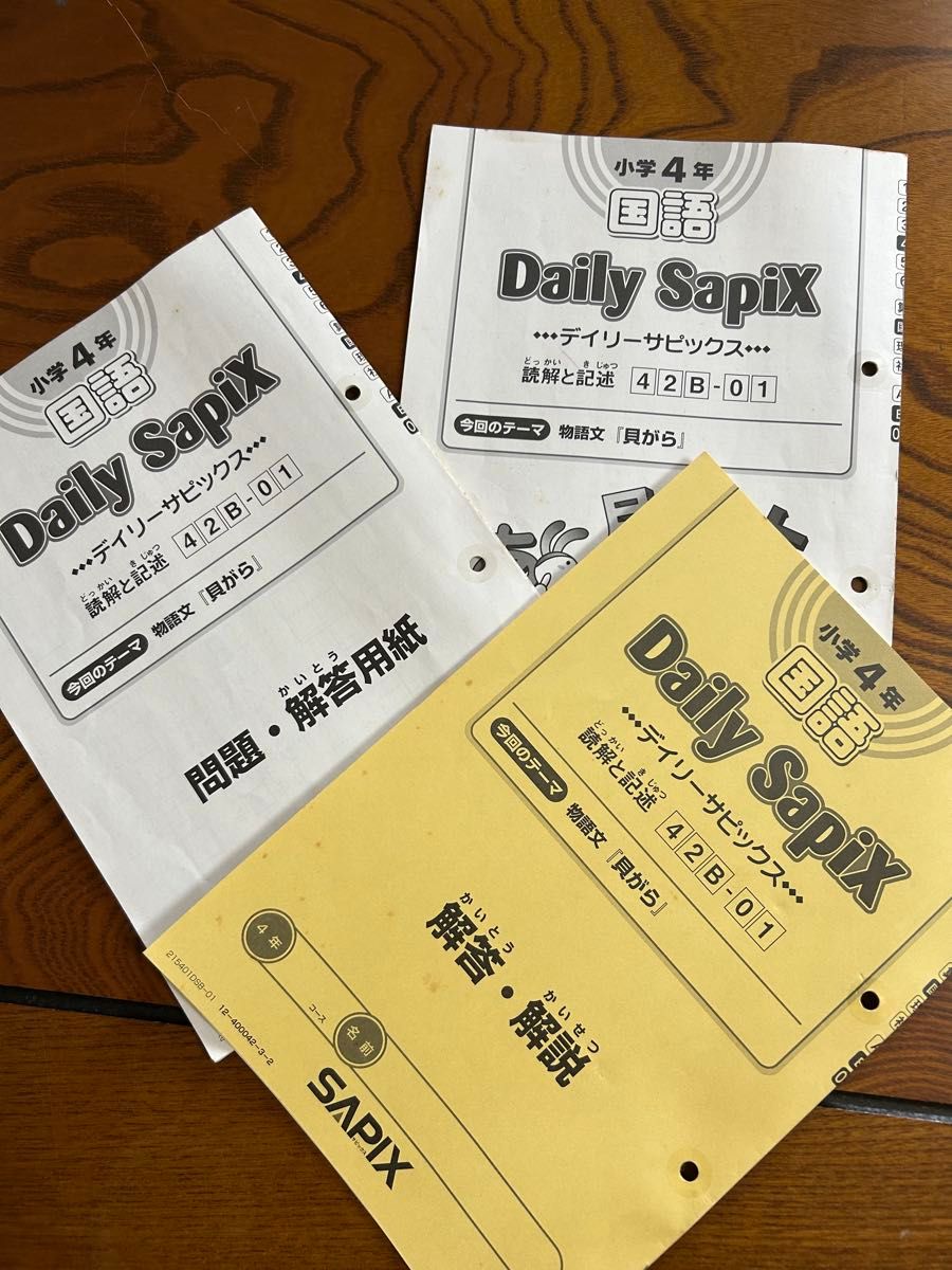 SAPIX 小学4年 国語 デイリー＆春期＆夏期＆冬期 フルセット2015年度版