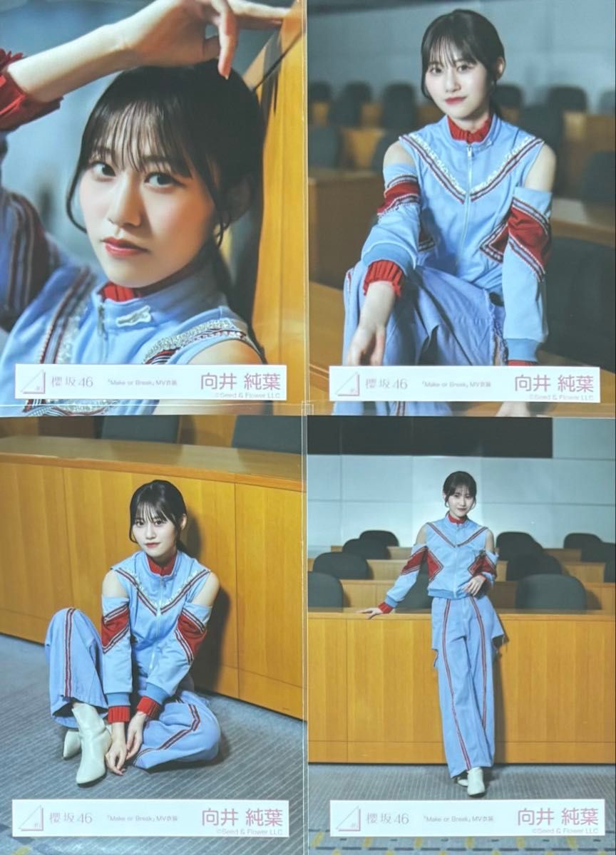 櫻坂 櫻坂46 生写真 Make or Break MV衣装 向井純葉 コンプ｜Yahoo