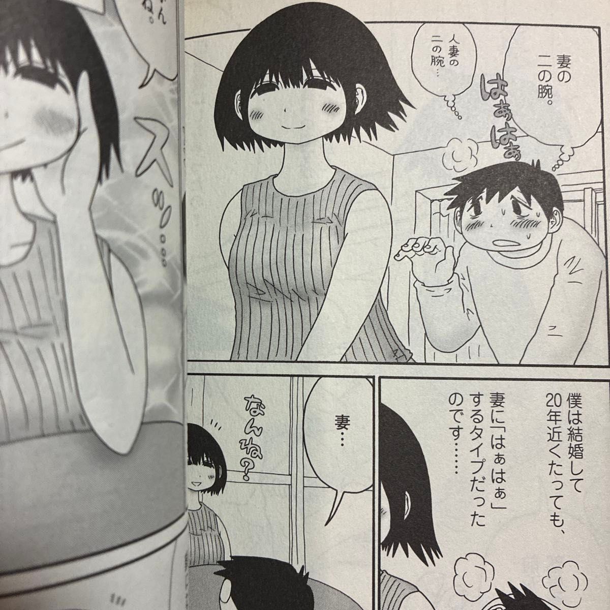 妻ちゃんを観察 福満しげゆき「妻観察日記」1巻 やや傷み汚れあり