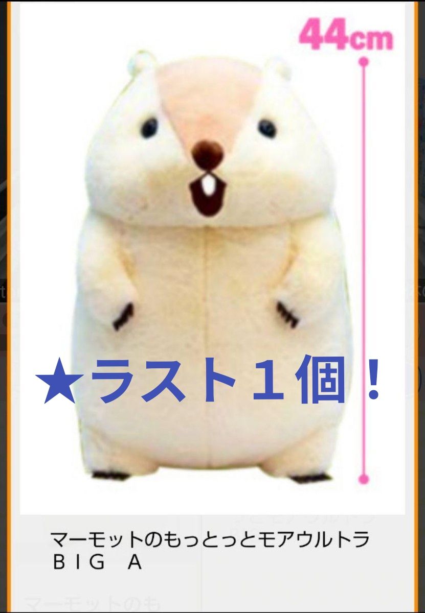 9/26迄限定 新品 【 マーモットのもっとっとモア】ウルトラBIG