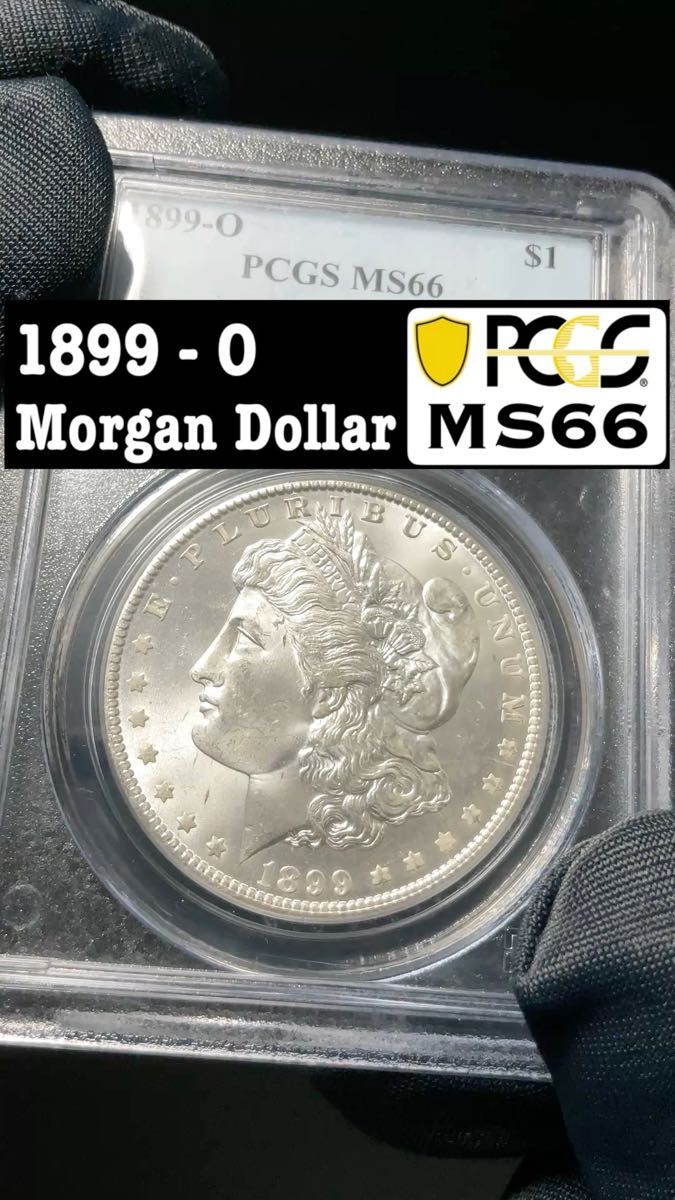 アメリカ1ドル銀貨 モルガンダラー 2枚セット 品位900 本物保証｜Yahoo