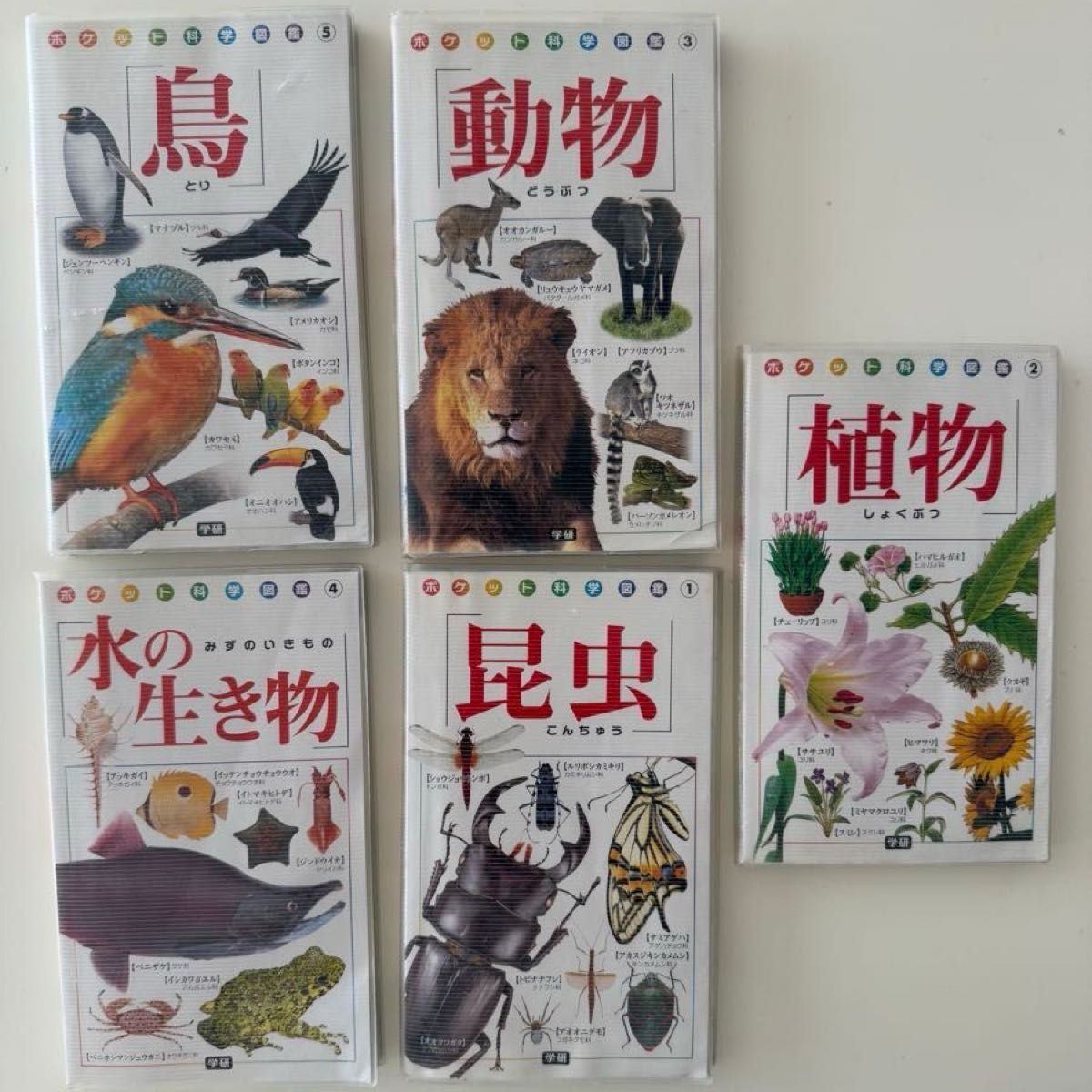 子供図鑑セット12冊 学研 小学館 ポプラ社 講談社 生物科学系おまとめ