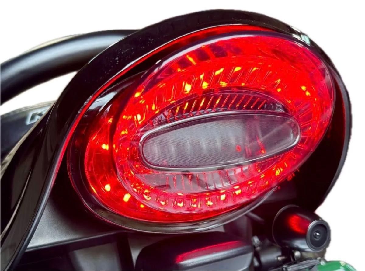 スモークタイプ カワサキ Z900RS Z650RS テールランプ ルミナスLED