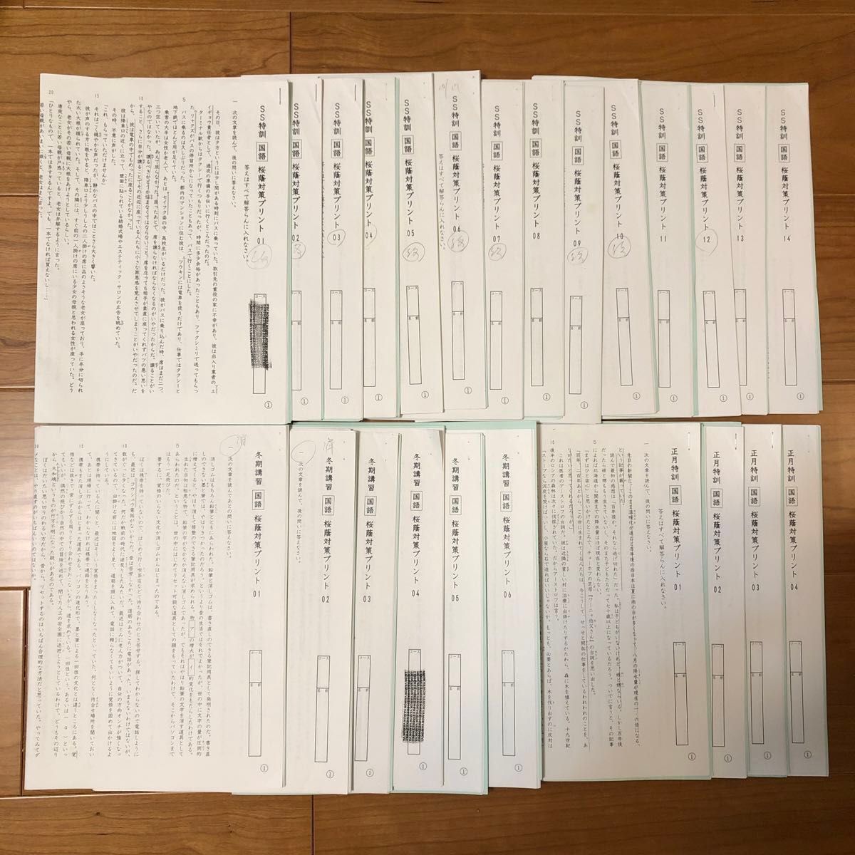 サピックス 6年国語 SS特訓・正月特訓・冬期講習桜蔭対策プリント全24