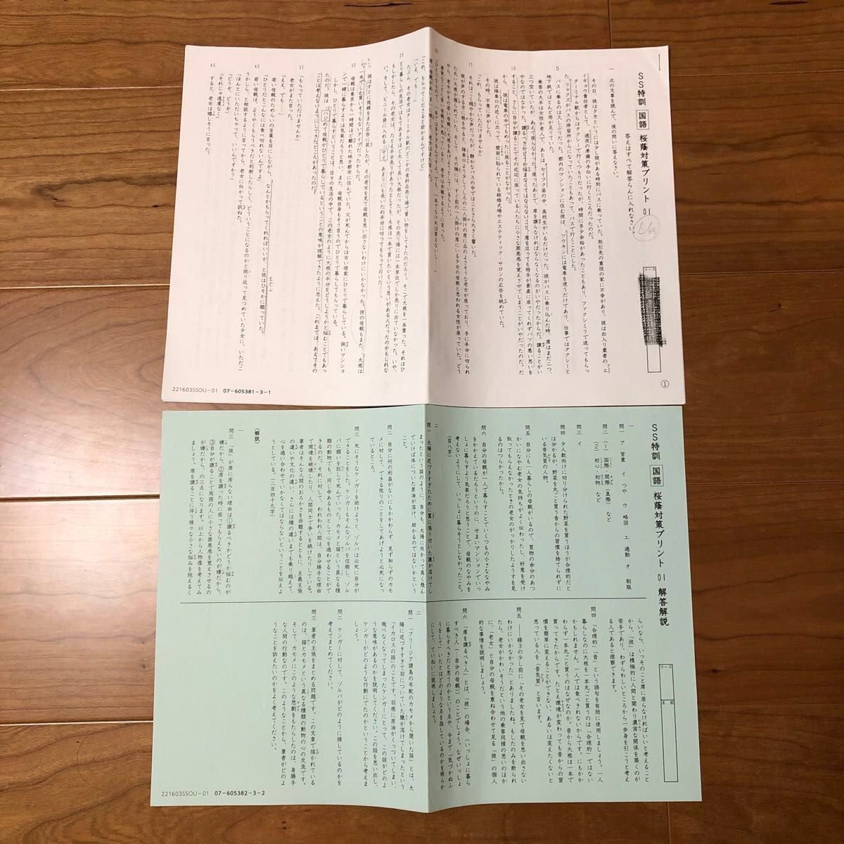 サピックス 6年国語 SS特訓・正月特訓・冬期講習桜蔭対策プリント全24