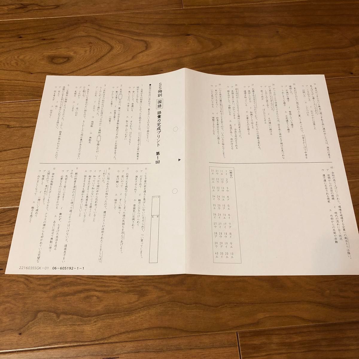 サピックス 6年国語 SS特訓・正月特訓・冬期講習桜蔭対策プリント全24