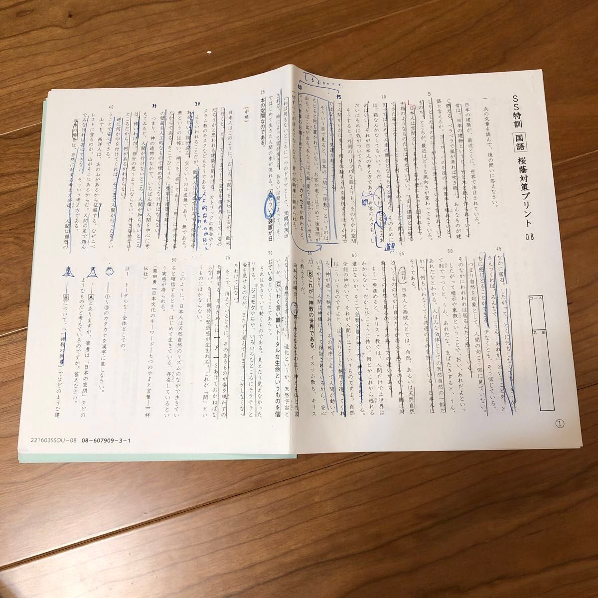 サピックス 6年国語 SS特訓・正月特訓・冬期講習桜蔭対策プリント全24