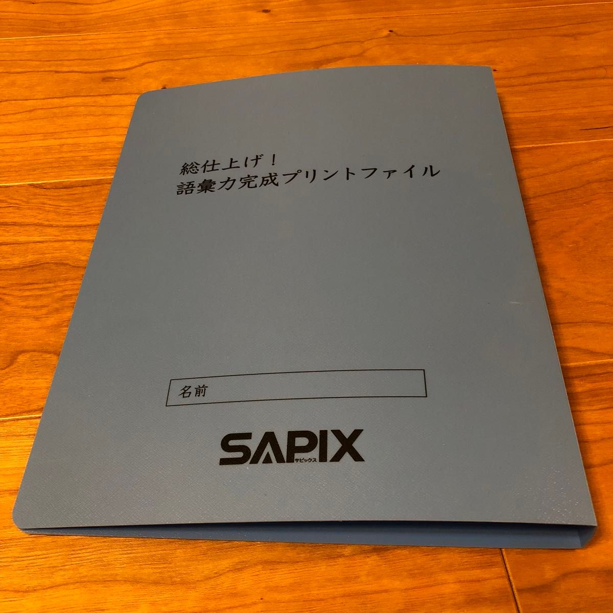 サピックス 6年国語 SS特訓・正月特訓・冬期講習桜蔭対策プリント全24