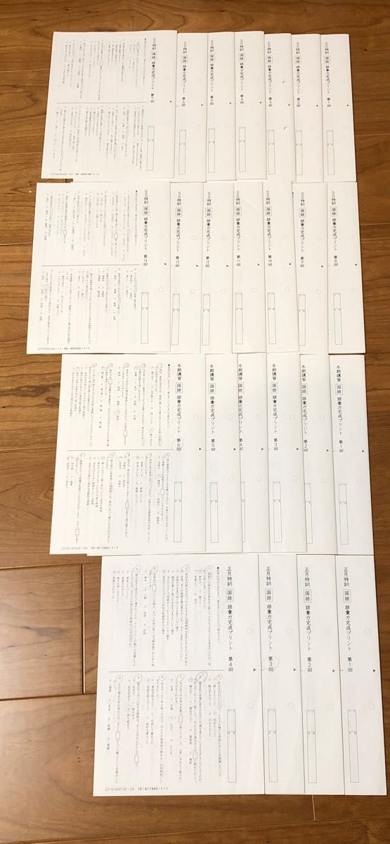 サピックス 6年国語 SS特訓・正月特訓・冬期講習桜蔭対策プリント全24