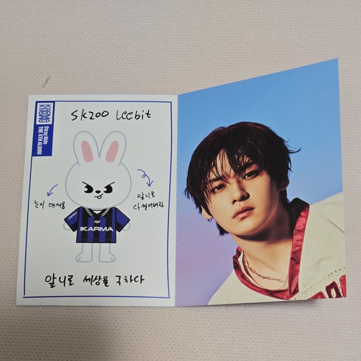 Stray Kids スキズ Lee Know リノ SKZOO プロフィールカード｜Yahoo