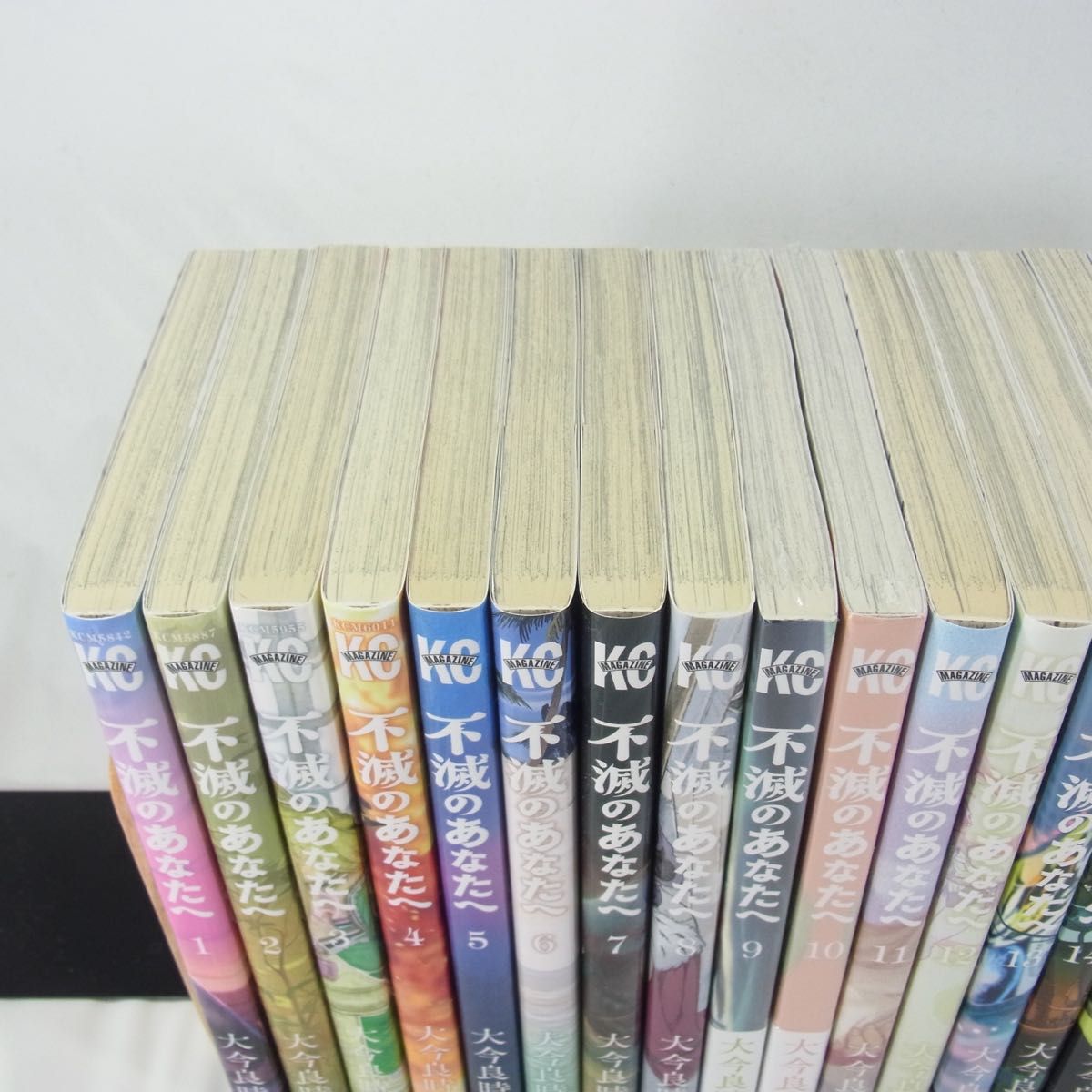 不滅のあなたへ 全25巻セット 完結全25巻セット）不滅のあなたへ 全巻