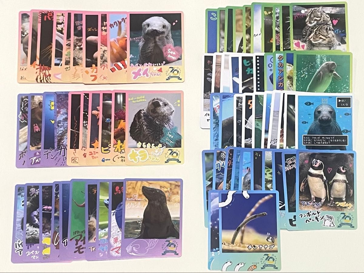 ノーマル コンプセット】鳥羽水族館 TOBA AQUARIUMコレクションカード