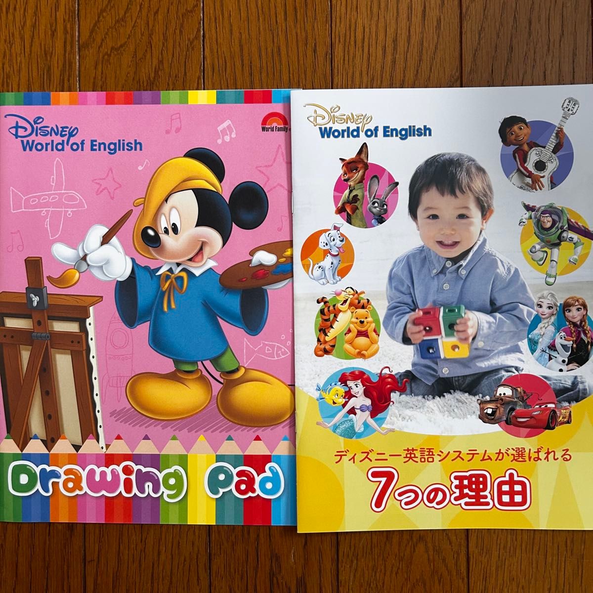 未使用】ディズニー英語システム ワールドファミリー サンプルDVD CD