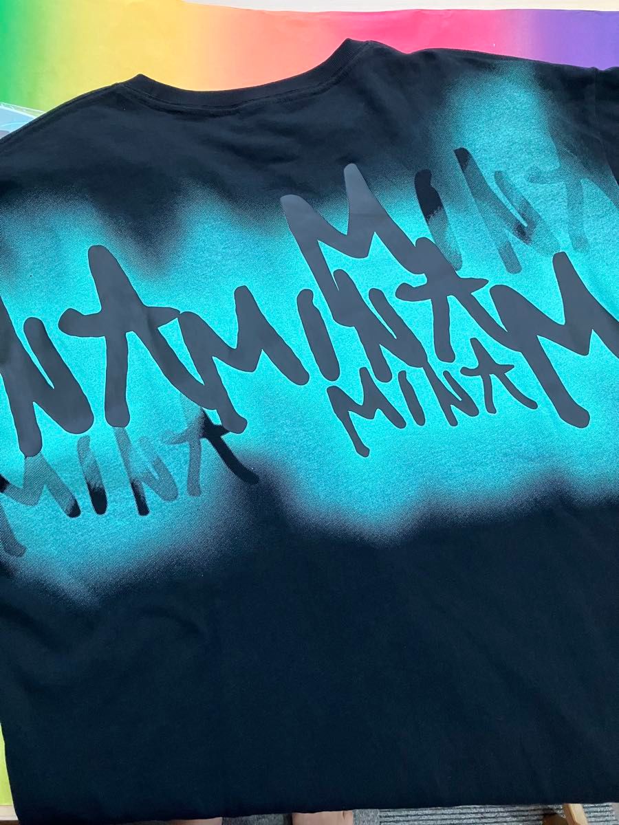 TWICE THIS IS FOR ワールドツアー Tシャツ うちわ ミナ 2点セット