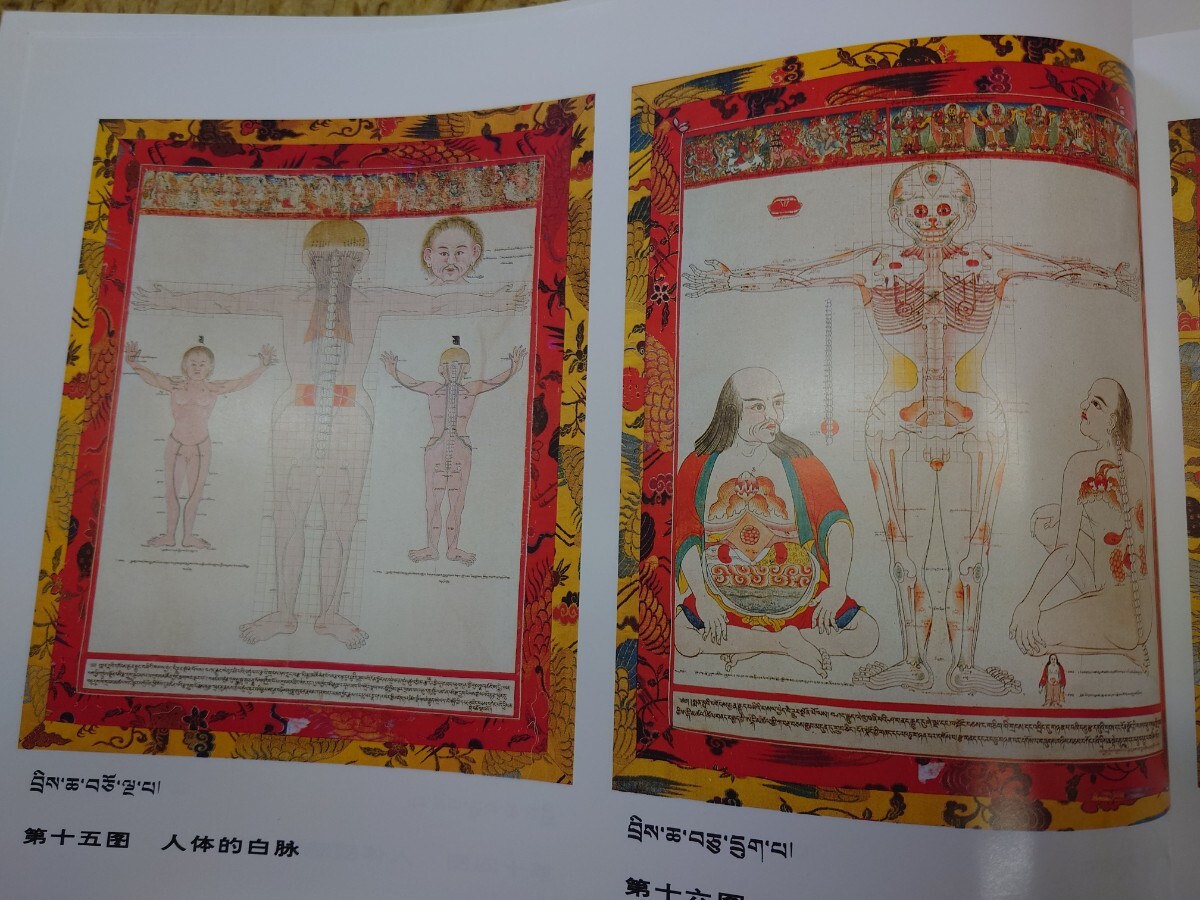 ◇四部医典系列挂図全集◇チベット医学書◇サンスクリット中国の通販は