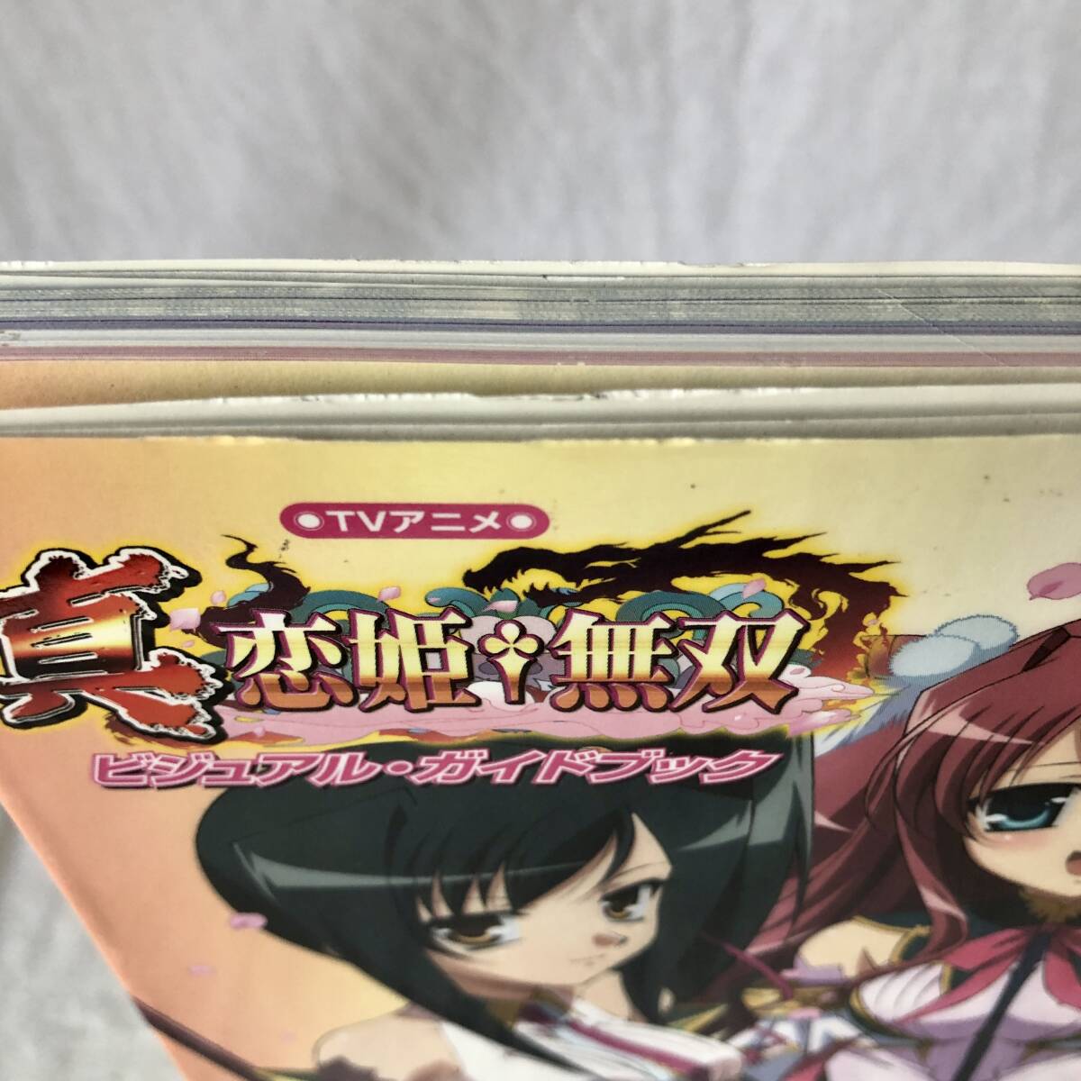 TVアニメ 真・恋姫†無双 ビジュアル・ガイドブック｜Yahoo!フリマ（旧