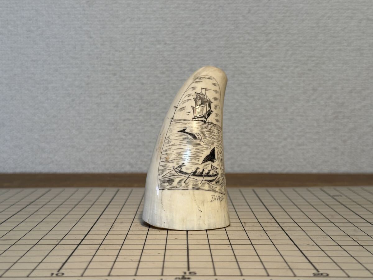 ハンター 鯨 歯 鯨歯 キセル アンティーク 抹香鯨 鯨 歯 鯨歯 キセル
