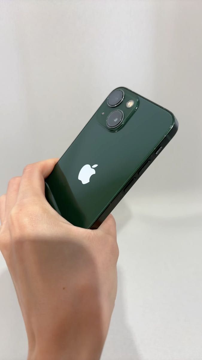 ヨドバシカメラ 2026年 夢のお年玉箱 SIMフリースマホ iPhoneの夢