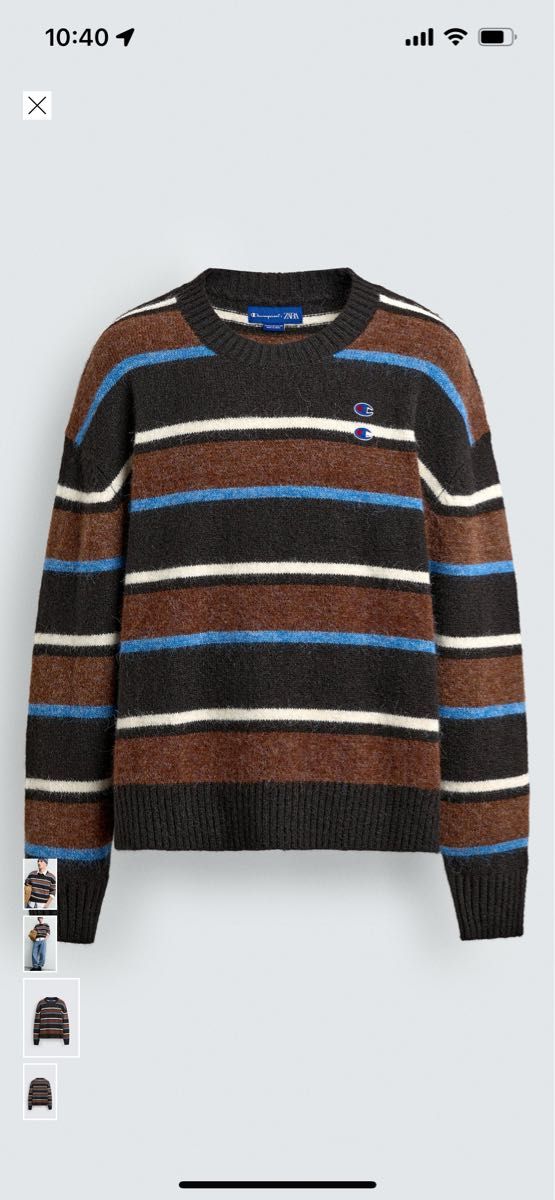 CHAMPION X ZARA ストライプ柄パッチセーター Lサイズ｜Yahoo!フリマ