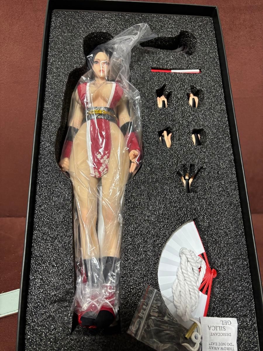 Ninja Cat 1/6 フィギュア スーパー女性格闘家｜Yahoo!フリマ（旧