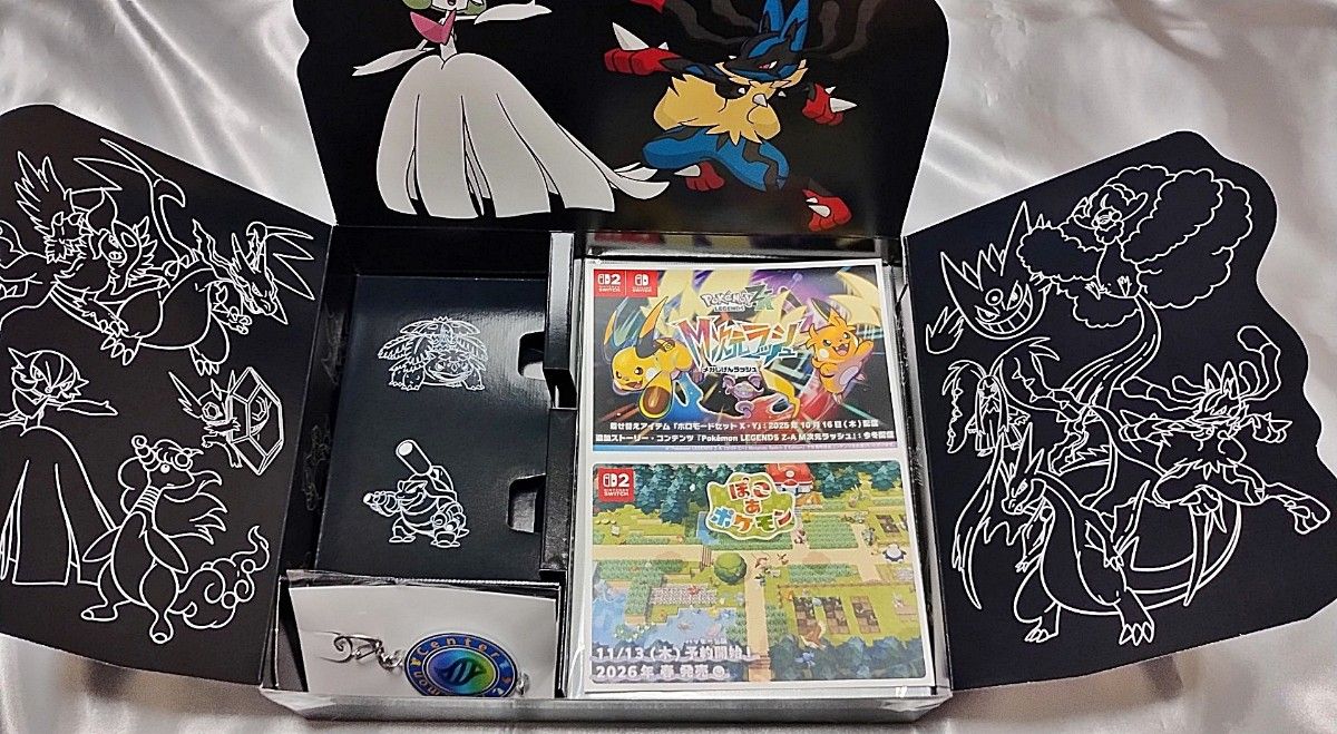Switch ポケモン レジェンズ ZA ポケモンセンター 特典 アートブック