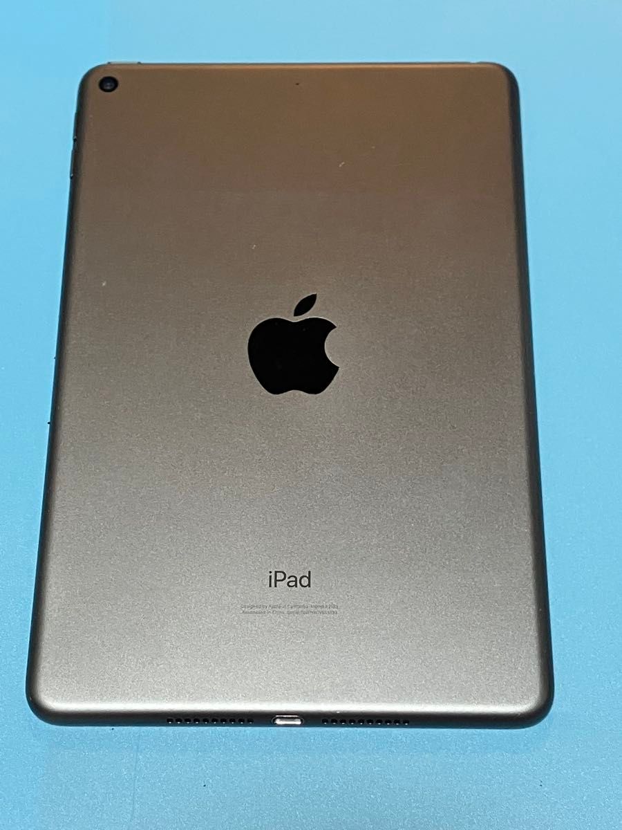 iPad mini5 第5世代 Wi-Fiモデル 256GB スペースグレイ MUU32J/A A2133