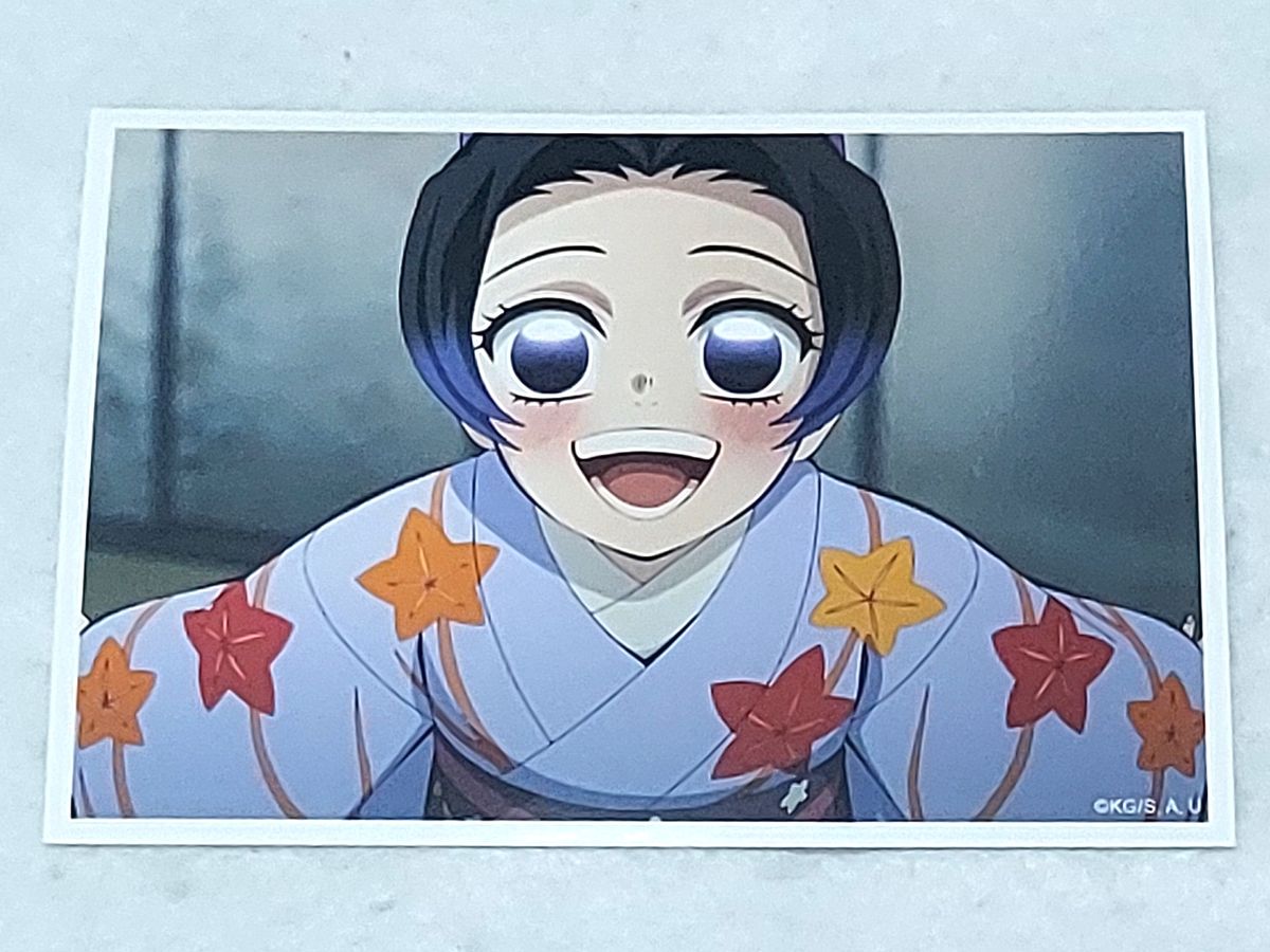 胡蝶しのぶ 幼少期 ブロマイド 劇場版 鬼滅の刃 無限城編 第一章 場面