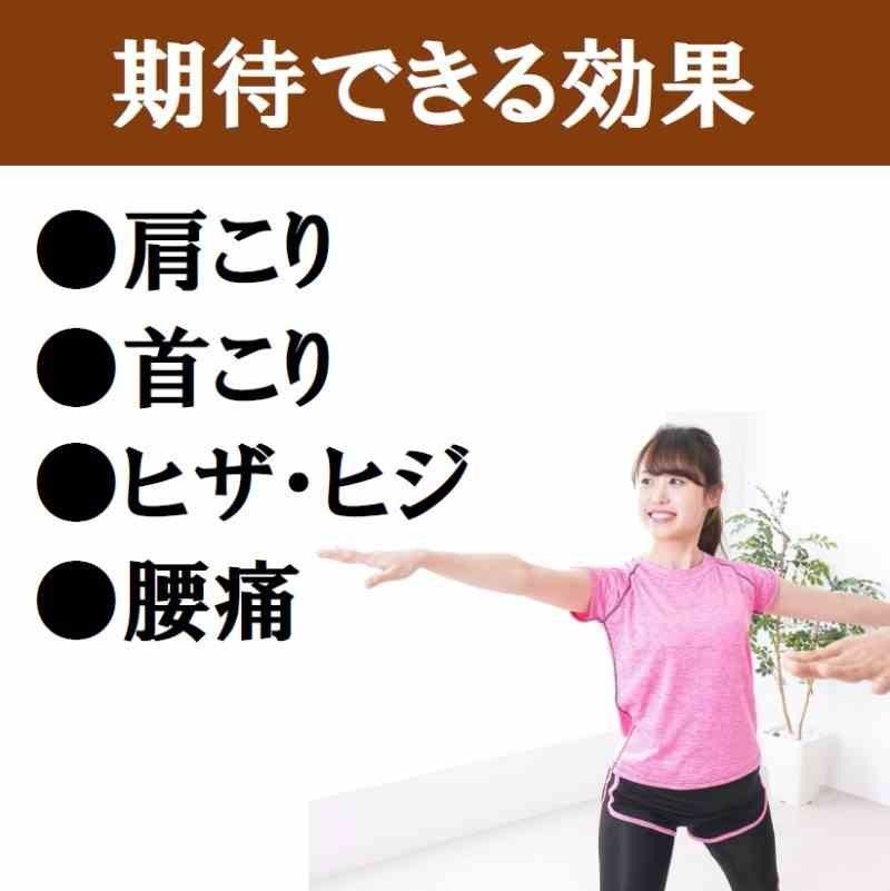 高純度ゲルマニウム粒 10個 健康グッズ プチシルマ 磁気 肩こり 首こり