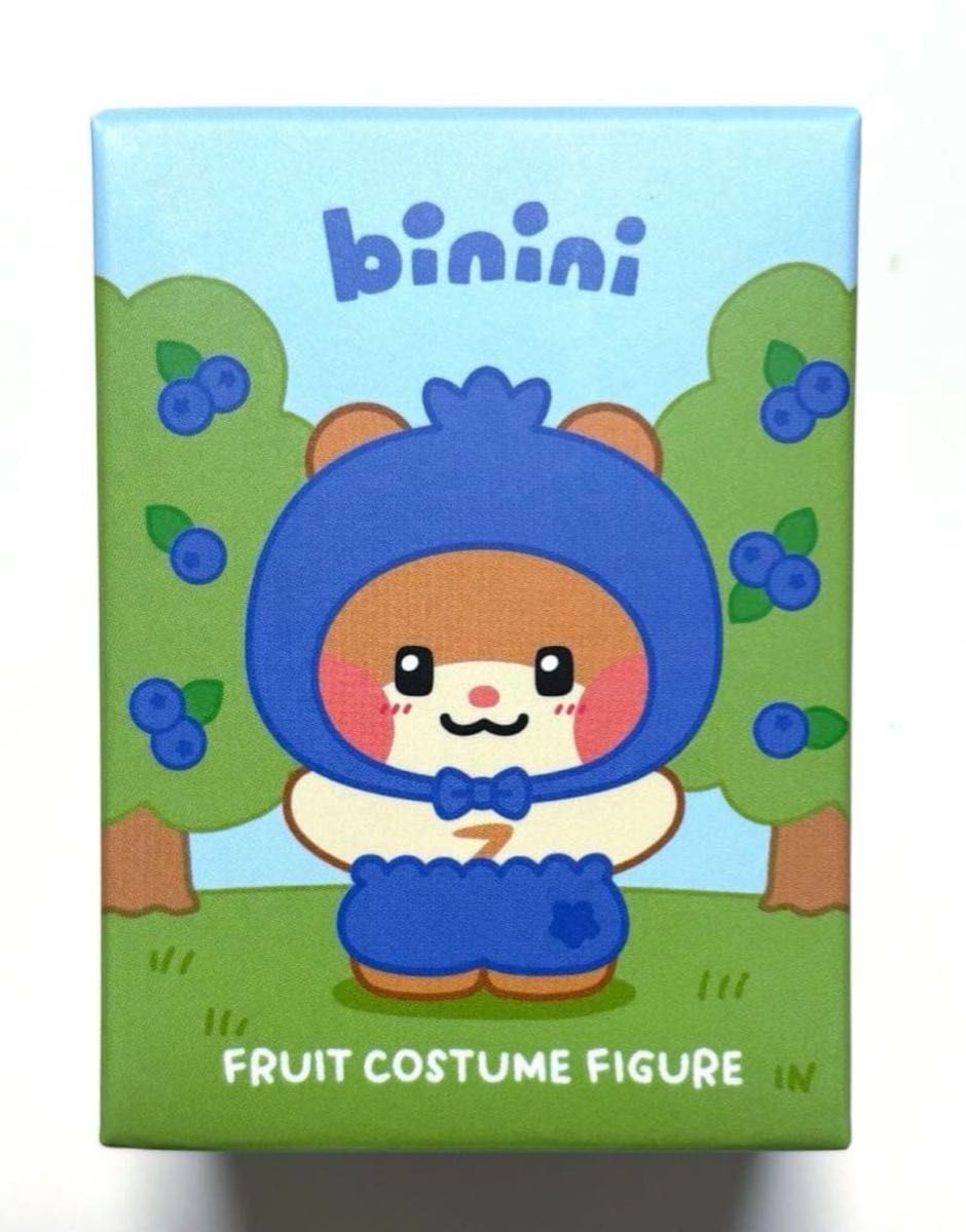 ZB1 ゼベワン ハンビン binini ビニニ zeroni フルーツコスチューム