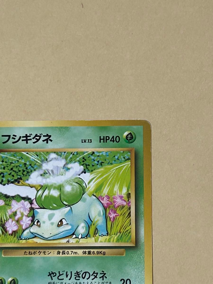 希少】初版 マークなし ポケモンカード 旧裏 フシギダネ LV 13 HP40 No