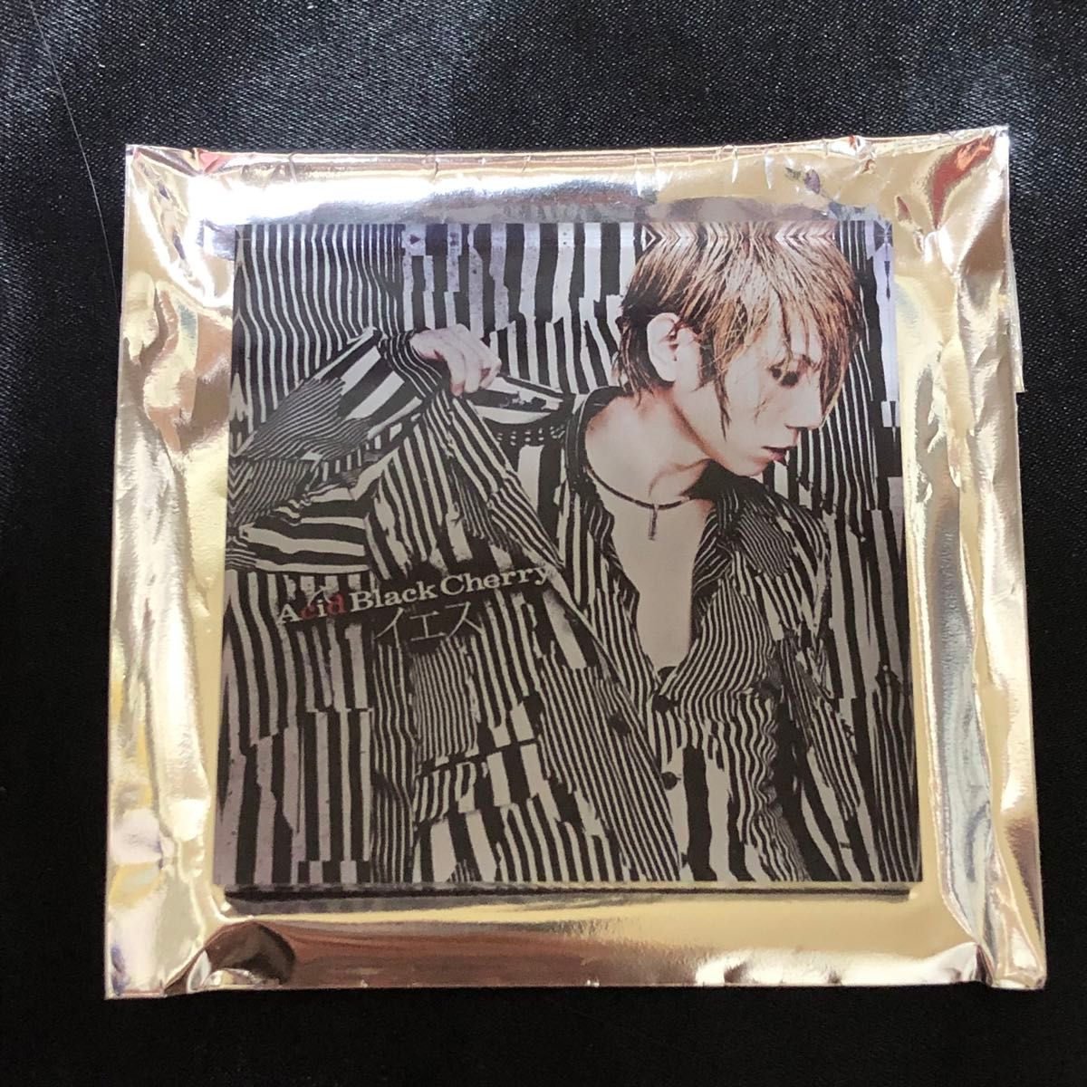 Acid Black Cherry ランダムアクリルマグネットB 【イエス】別ジャケ柄