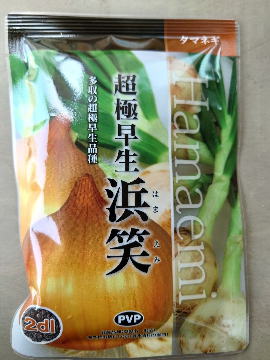 玉ねぎ苗【超極早生品種 浜笑100本】【野菜苗】【玉葱苗】｜Yahoo