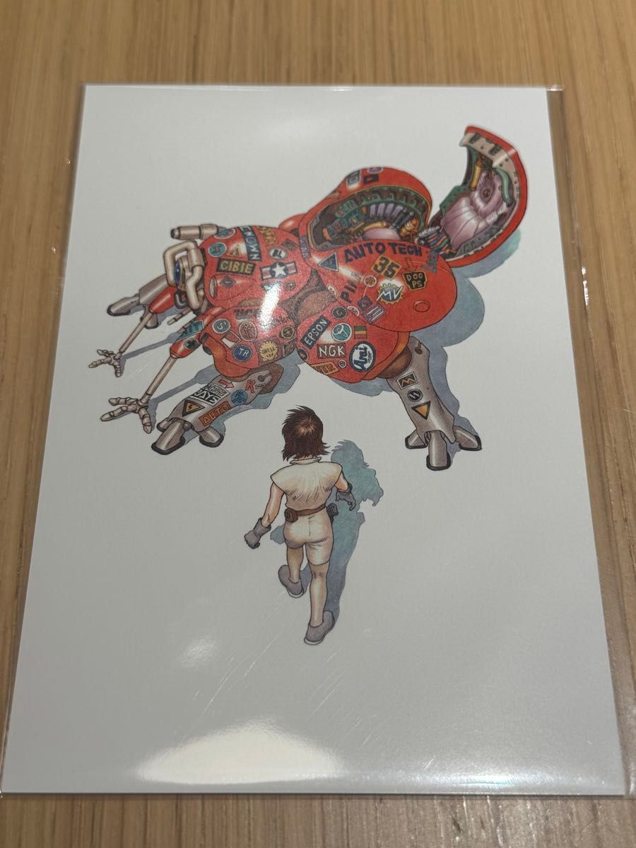 士郎正宗の世界展 大阪限定 大友克洋 攻殻機動隊 ポストカード 1枚