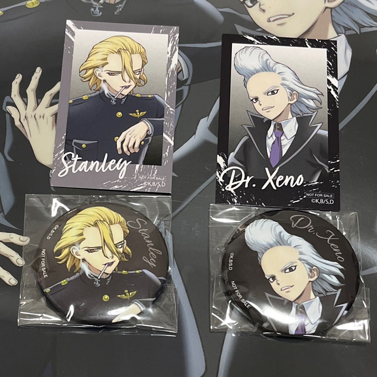 Dr STONE 缶バッジ スタンリー ゼノ ビジュアルカード ミニフォト