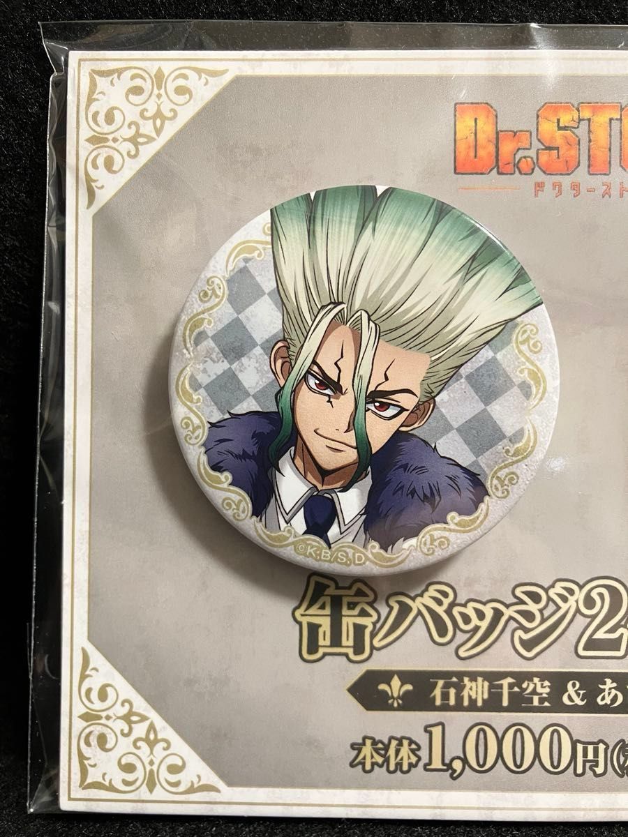 新品未開封・即購入OK】Dr STONE ファミリーマート 缶バッジ2個セット