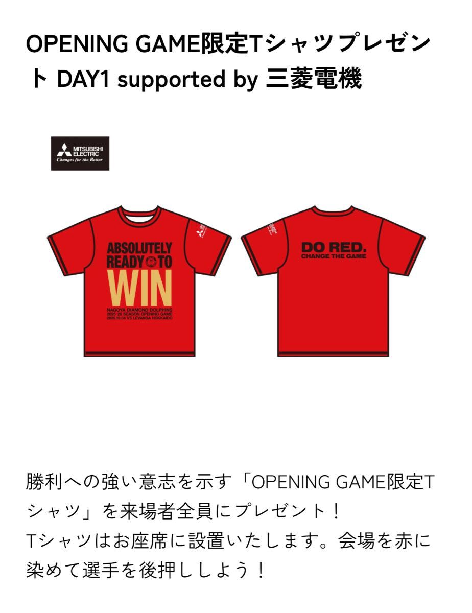 値下）非売品 名古屋ダイヤモンドドルフィンズ FC特典 シューティング
