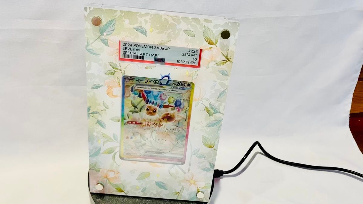 ヴァイスシュヴァルツ テイルズ WS 謎の少女 マルタ・ルアルディ SP