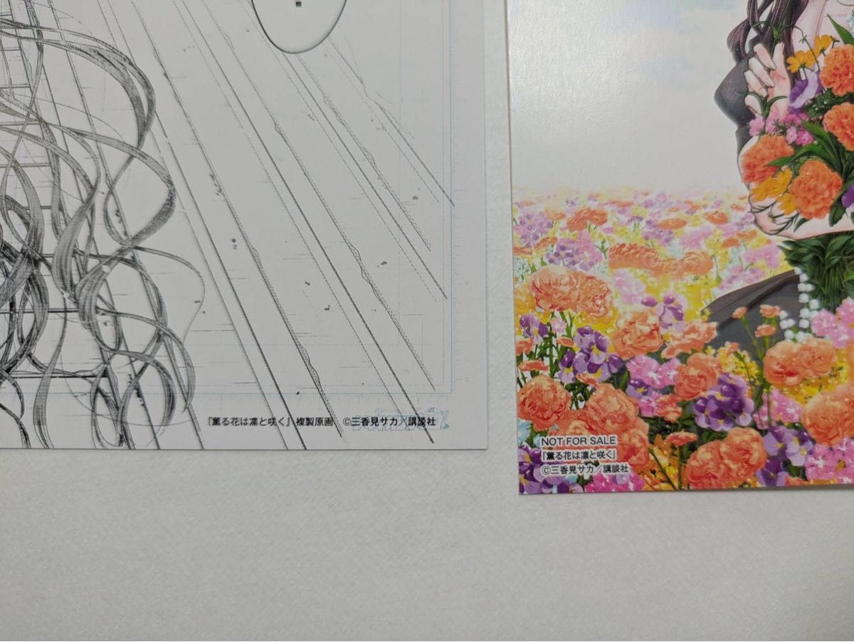 薫る花は凛と咲く 20巻 購入特典 イラストカード＆複製原画セット 三香