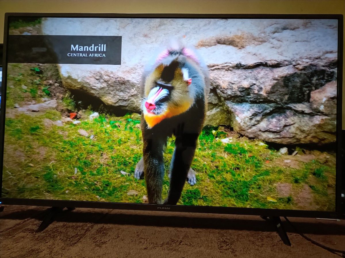 FUNAI 43V型 Fire TV搭載 FL-43UF360（2024年製）｜Yahoo!フリマ（旧