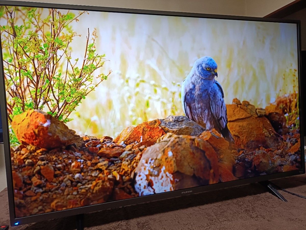 FUNAI 43V型 Fire TV搭載 FL-43UF360（2024年製）｜Yahoo!フリマ（旧