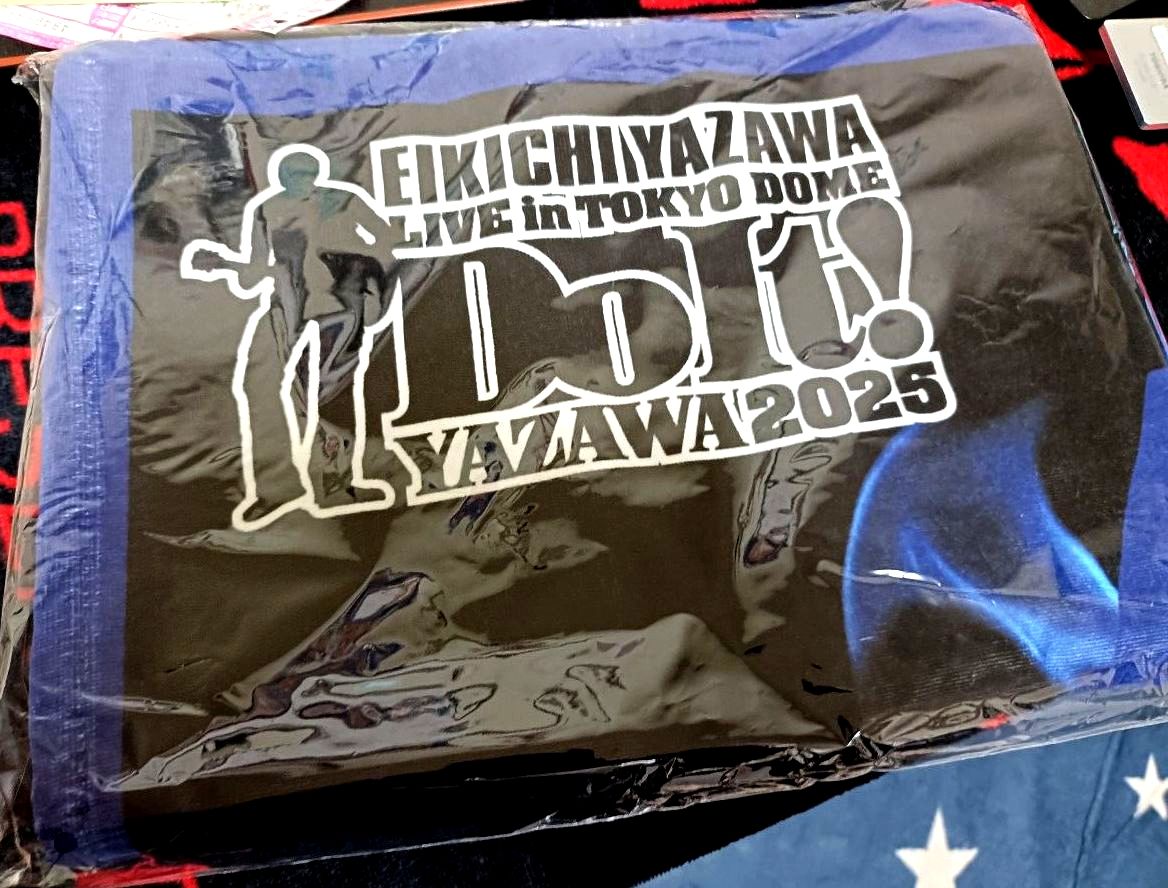 矢沢永吉 SBT スペシャルビーチタオル (Do It YAZAWA2025) 東京ドーム