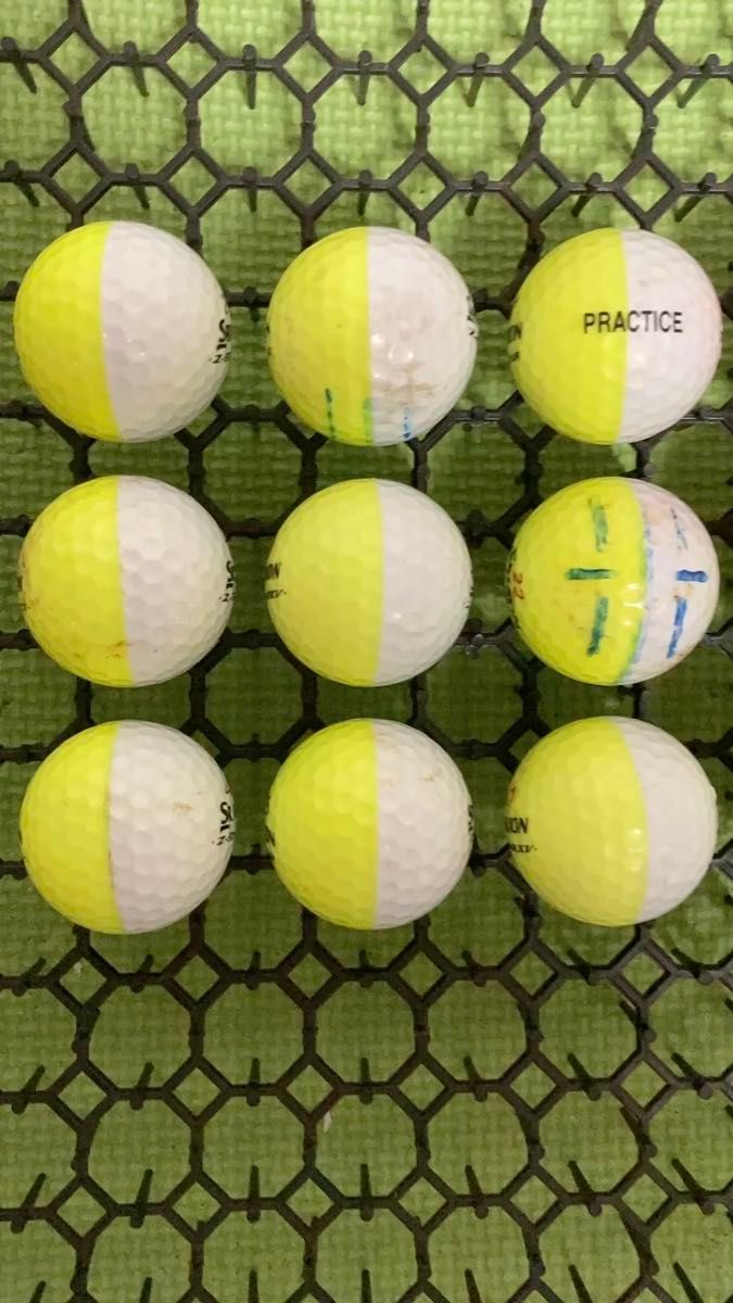 ロストボール タイトリスト スリクソンゴルフボール 40球｜Yahoo