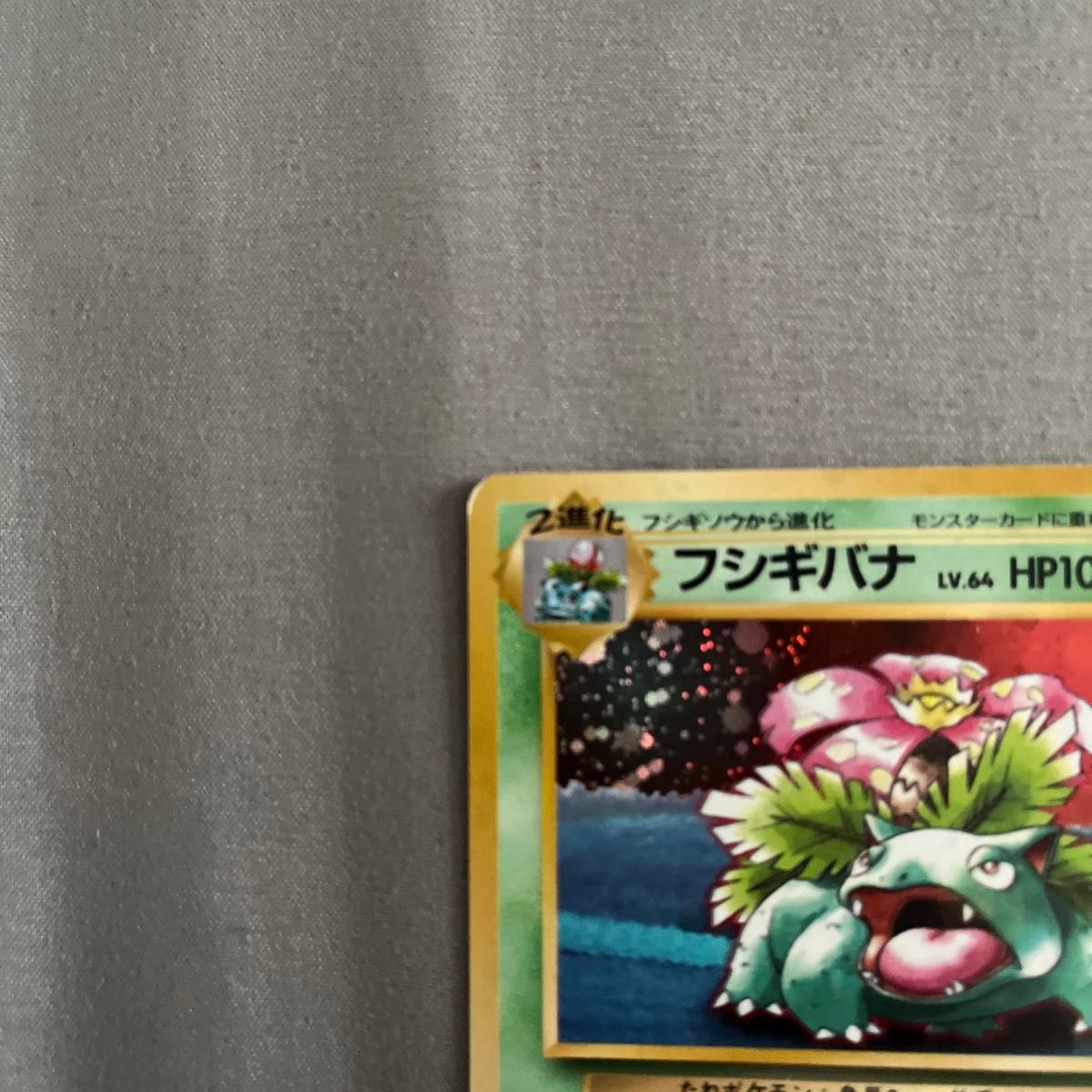 ポケモンカード 旧裏 フシギバナ とりかえっこプリーズ プロモ｜Yahoo