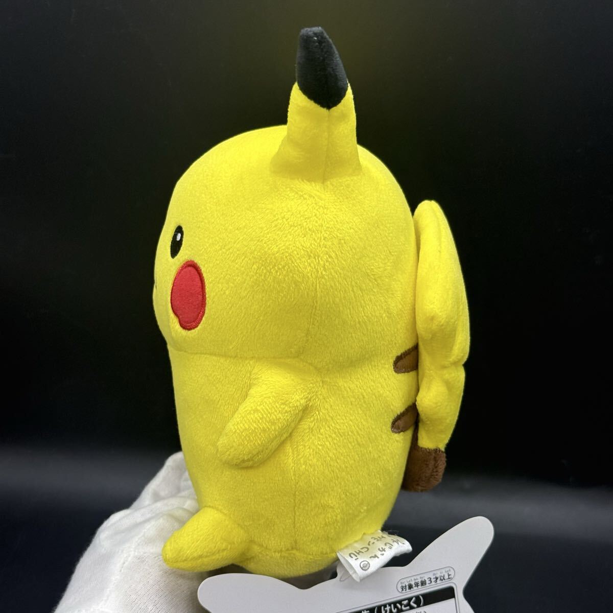 ポケモン 24じかんポケモンCHU ピカチュウ ナガノ ぬいぐるみ ちいかわ