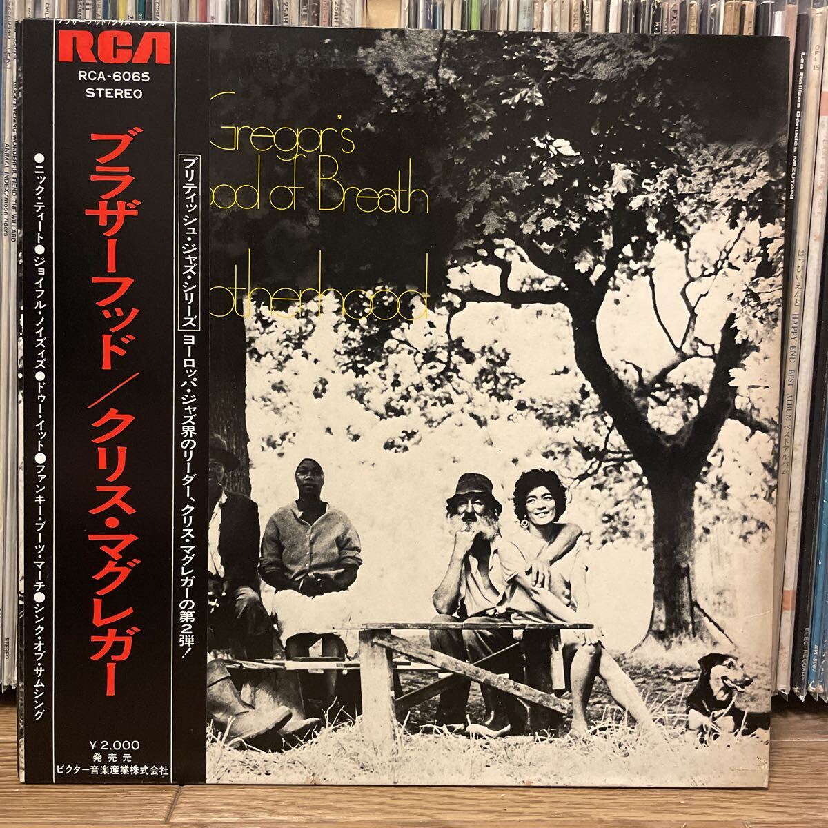 Chris McGregor's Brotherhood Of Breath – Brotherhood