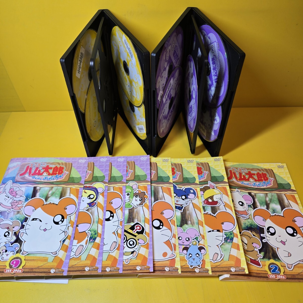 新品ケース交換済み とっとこハム太郎 はむはむぱらだいちゅ ＜第4