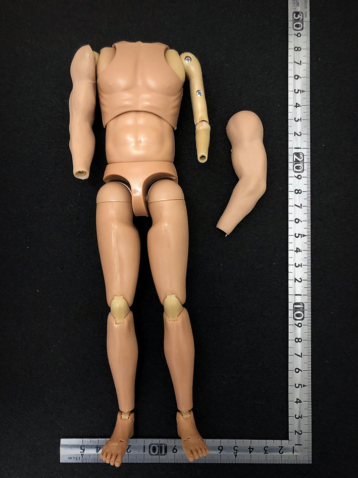 送料無料) 1/6 腕シームレス 男性 素体 DID (検 DAMTOYS easy&simple