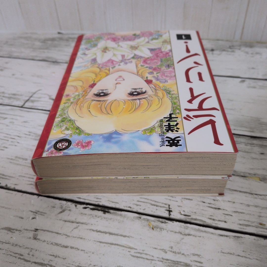 送料無料 レディリン 全2巻 英 洋子 名作 レディレディ の正当続編