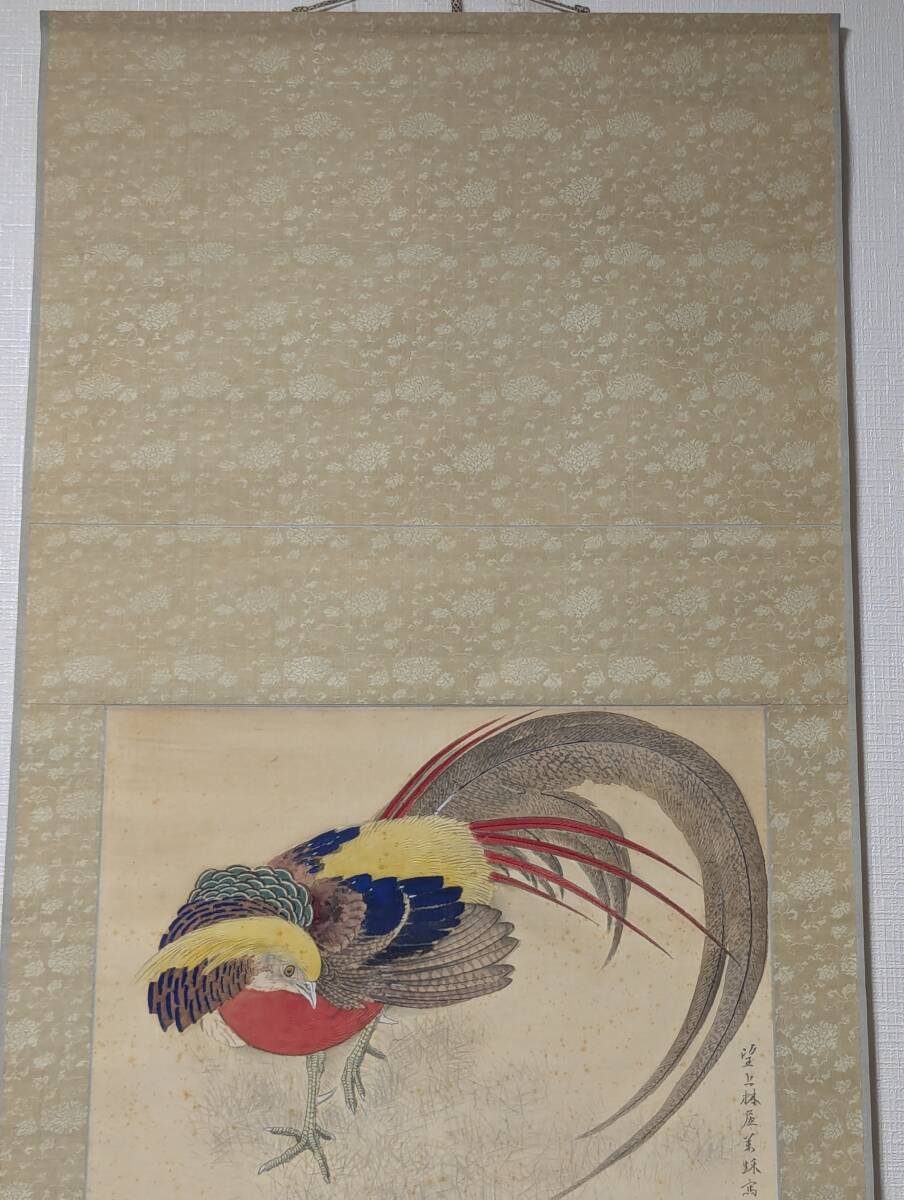 真作】掛軸 錦鶏 金鶏鳥 日本画 古画 美術掛け軸 共箱入 U111