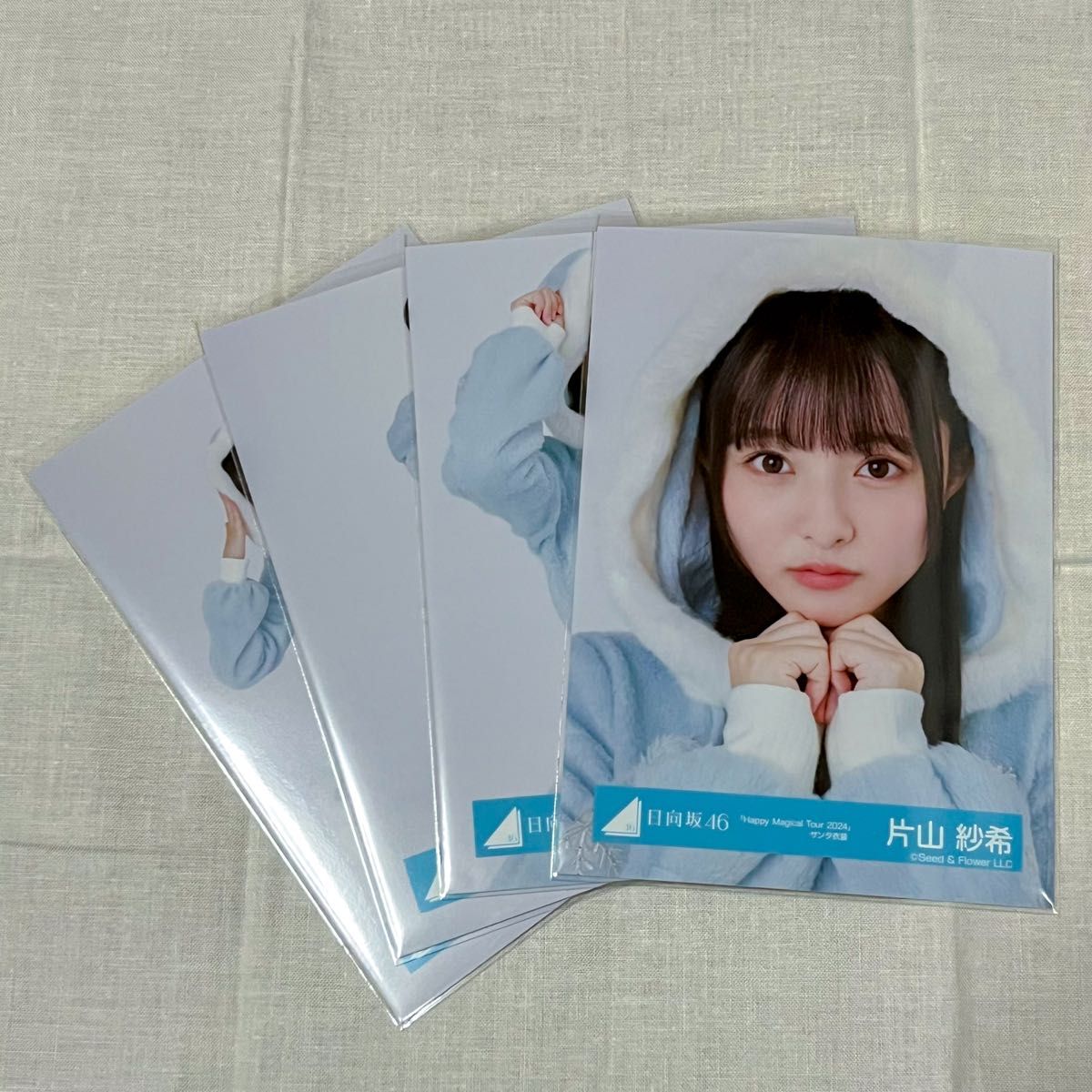 日向坂46 生写真 Happy Magical Tour 2024 サンタ衣装 片山紗希 コンプ